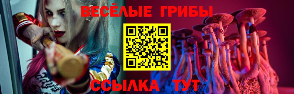Долгопрудный  Псилоцибиновые грибы прущие грибы  где купить наркотик  Вход с VPN 