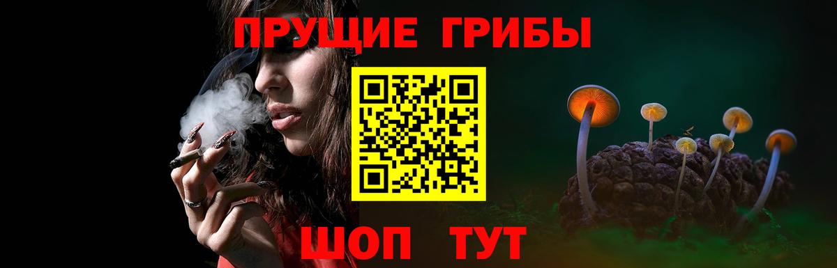 Псилоцибиновые грибы мухоморы Долгопрудный